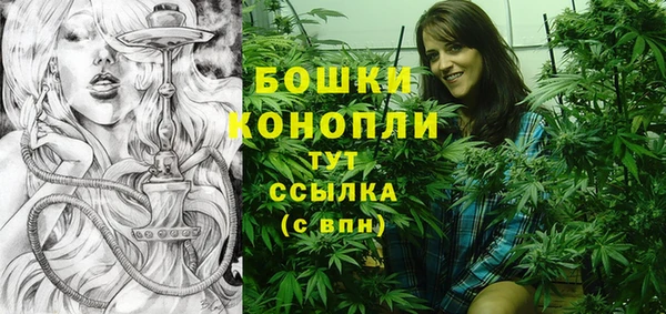 сатива Семилуки