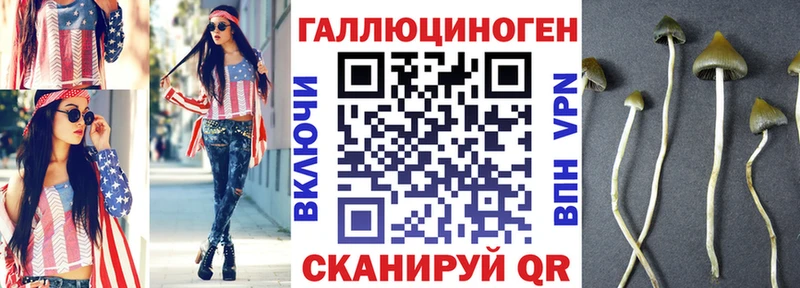 Псилоцибиновые грибы Psilocybe  Яблоновский 